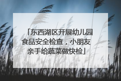东西湖区开展幼儿园食品安全检查，小朋友亲手给蔬菜做快检