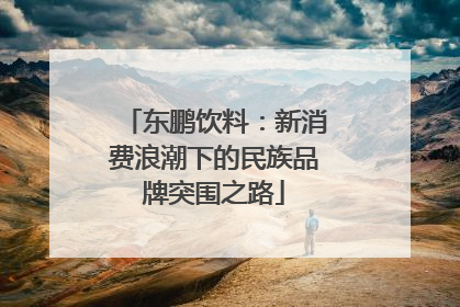 东鹏饮料：新消费浪潮下的民族品牌突围之路