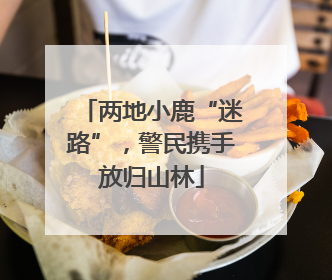 两地小鹿“迷路”，警民携手放归山林