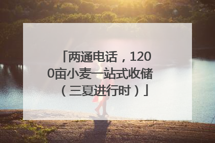 两通电话，1200亩小麦一站式收储（三夏进行时）