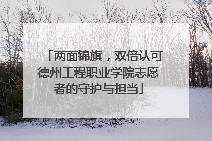两面锦旗，双倍认可德州工程职业学院志愿者的守护与担当