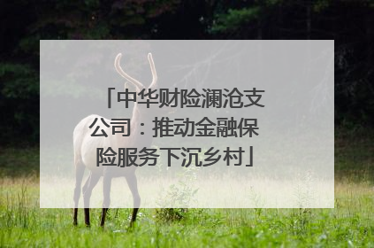 中华财险澜沧支公司：推动金融保险服务下沉乡村