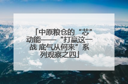 中原粮仓的“芯”动能——“打赢这一战 底气从何来”系列观察之四