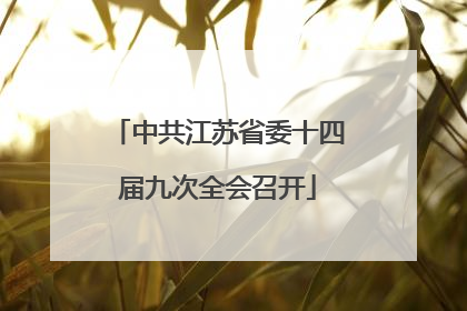 中共江苏省委十四届九次全会召开
