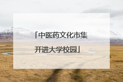 中医药文化市集开进大学校园