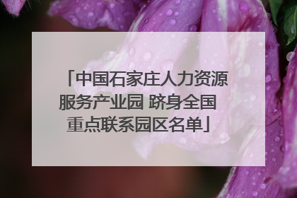 中国石家庄人力资源服务产业园 跻身全国重点联系园区名单