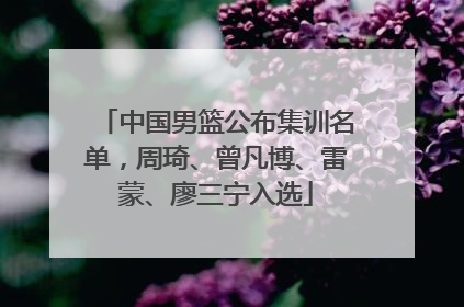 中国男篮公布集训名单，周琦、曾凡博、雷蒙、廖三宁入选