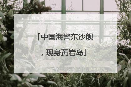 中国海警东沙舰，现身黄岩岛