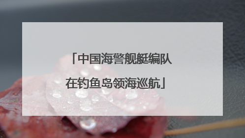 中国海警舰艇编队在钓鱼岛领海巡航