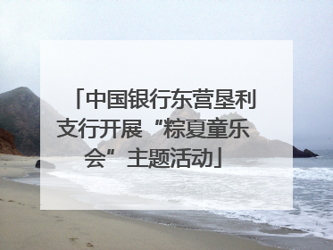 中国银行东营垦利支行开展“粽夏童乐会”主题活动
