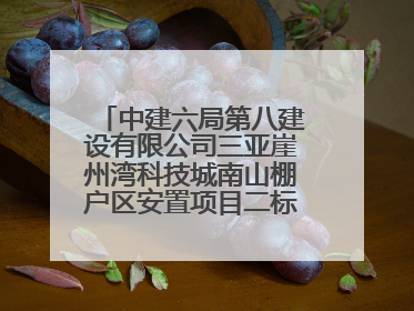 中建六局第八建设有限公司三亚崖州湾科技城南山棚户区安置项目二标段顺利通过第一次主体结构验收