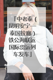 中老泰（昆明安宁—泰国拉廊）铁公海联运国际货运列车发车