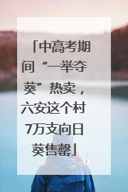 中高考期间“一举夺葵”热卖，六安这个村7万支向日葵售罄