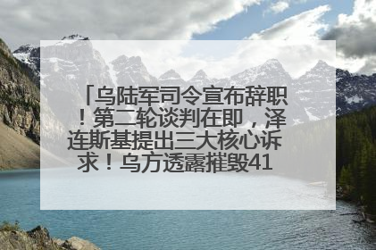 乌陆军司令宣布辞职！第二轮谈判在即，泽连斯基提出三大核心诉求！乌方透露摧毁41架俄战略轰炸机
