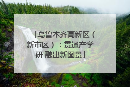 乌鲁木齐高新区（新市区）：贯通产学研 融出新图景