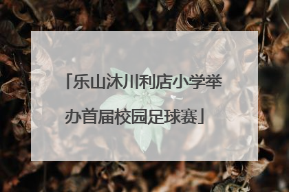 乐山沐川利店小学举办首届校园足球赛