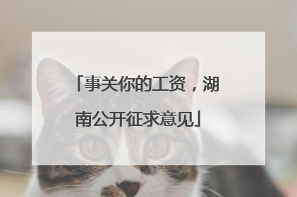 事关你的工资，湖南公开征求意见