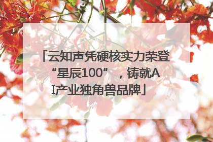 云知声凭硬核实力荣登“星辰100”，铸就AI产业独角兽品牌