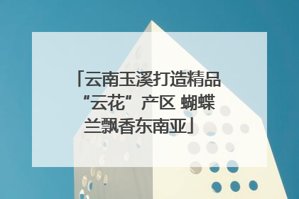 云南玉溪打造精品“云花”产区 蝴蝶兰飘香东南亚
