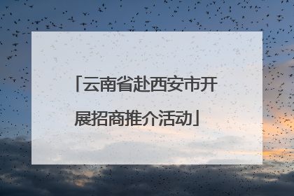 云南省赴西安市开展招商推介活动