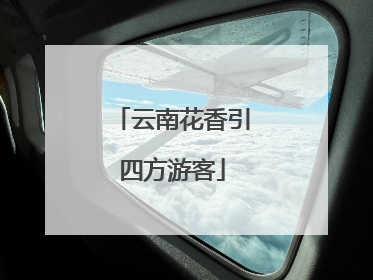 云南花香引四方游客