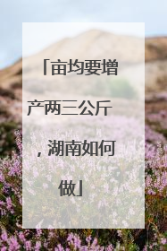 亩均要增产两三公斤，湖南如何做