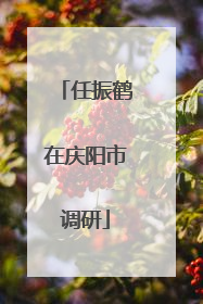 任振鹤在庆阳市调研