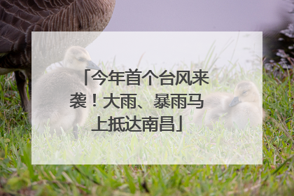 今年首个台风来袭！大雨、暴雨马上抵达南昌