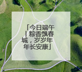 今日端午丨粽香飘春城，岁岁年年长安康