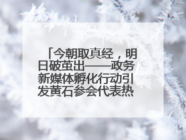 今朝取真经，明日破茧出——政务新媒体孵化行动引发黄石参会代表热烈反响