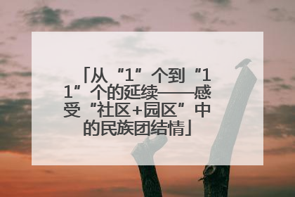 从“1”个到“11”个的延续——感受“社区+园区”中的民族团结情
