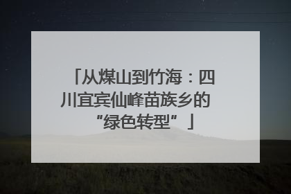 从煤山到竹海：四川宜宾仙峰苗族乡的“绿色转型”