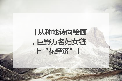 从种地转向绘画，巨野万名妇女链上“花经济”