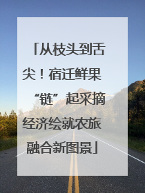 从枝头到舌尖！宿迁鲜果“链”起采摘经济绘就农旅融合新图景