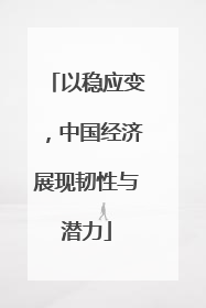 以稳应变，中国经济展现韧性与潜力
