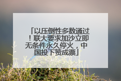 以压倒性多数通过！联大要求加沙立即无条件永久停火，中国投下赞成票