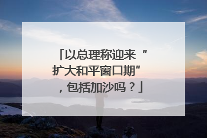 以总理称迎来“扩大和平窗口期”，包括加沙吗？