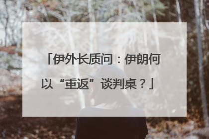 伊外长质问：伊朗何以“重返”谈判桌？