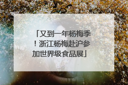 又到一年杨梅季！浙江杨梅赴沪参加世界级食品展