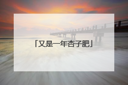 又是一年杏子肥
