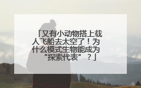又有小动物搭上载人飞船去太空了！为什么模式生物能成为“探索代表”？