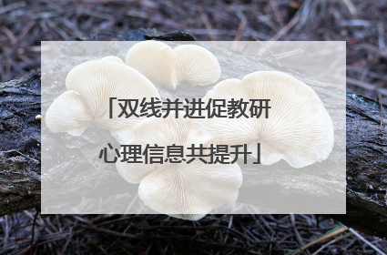 双线并进促教研 心理信息共提升