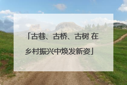 古巷、古桥、古树 在乡村振兴中焕发新姿