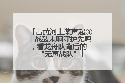 古黄河上桨声起③丨战鼓未响守护先鸣，看龙舟队背后的 “无声战队”