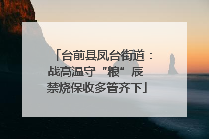 台前县凤台街道：战高温守“粮”辰 禁烧保收多管齐下