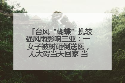 台风“蝴蝶”携较强风雨影响三亚：一女子被树砸倒送医，无大碍当天回家 当地已紧急清障