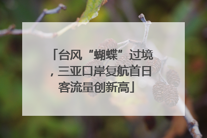 台风“蝴蝶”过境，三亚口岸复航首日客流量创新高