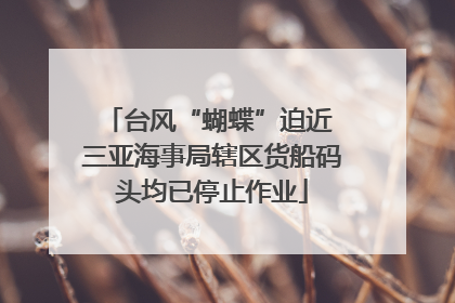 台风“蝴蝶”迫近 三亚海事局辖区货船码头均已停止作业