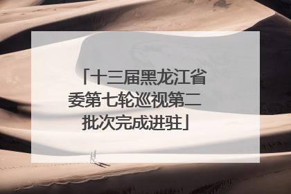 十三届黑龙江省委第七轮巡视第二批次完成进驻
