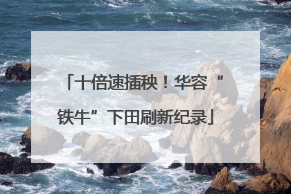十倍速插秧！华容“铁牛”下田刷新纪录